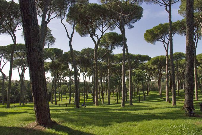 LEZIONI DI QI GONG E TAI JI QUAN A VILLA PAMPHILI